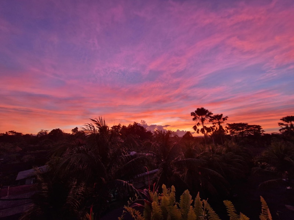 Pink and purple sunset over palm trees
